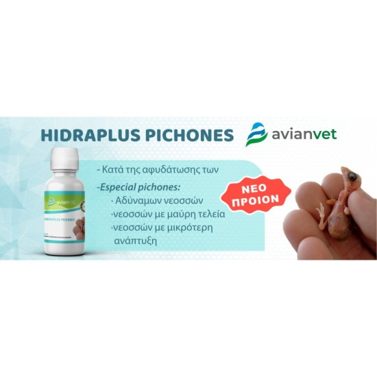 fb_hidraplus pichones-01-800x800